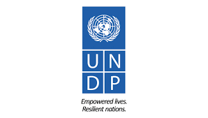 UNDP : Brand Short Description Type Here.